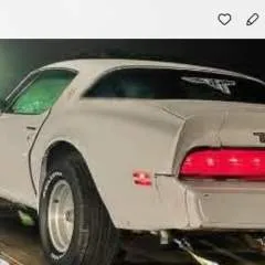 Honch photo on Jungo Live