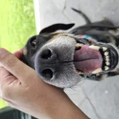 Zer0 photo on Jungo Live