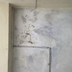 Suresh photo on Jungo Live