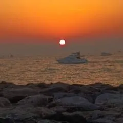 Abkv photo on Jungo Live