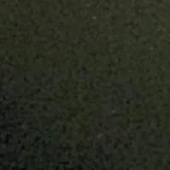 Sp55555 photo on Jungo Live