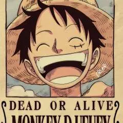 Jonny Kim photo on Jungo Live