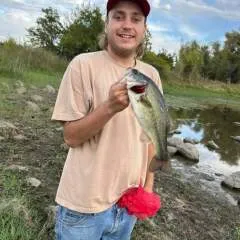 /daddy photo on Jungo Live