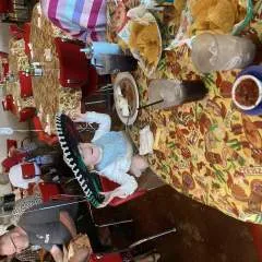 Squirrels photo on Jungo Live