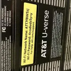 Squirrels photo on Jungo Live