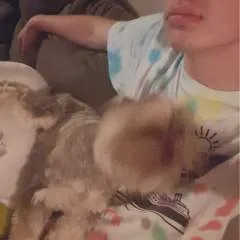 Karate_lrz photo on Jungo Live