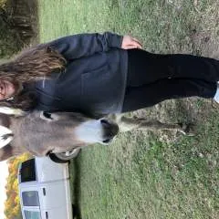 Curiously Interested photo on Jungo Live