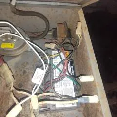 Benji photo on Jungo Live