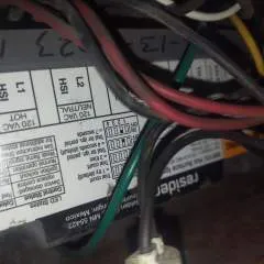 Benji photo on Jungo Live