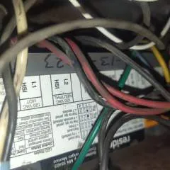 Benji photo on Jungo Live