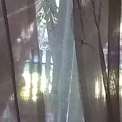 Jaylaray69 photo on Jungo Live