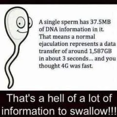 Guest photo on Jungo Live