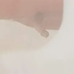 Jack photo on Jungo Live