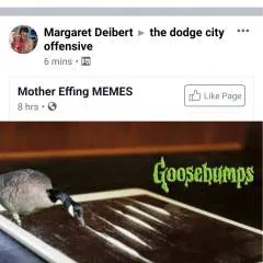 ........couple photo on Jungo Live