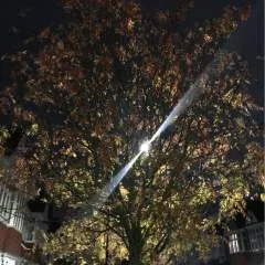 Deepoppy photo on Jungo Live