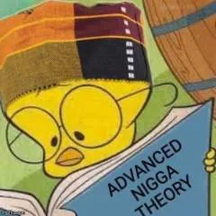 Zeno photo on Jungo Live