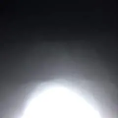 Dijant56 photo on Jungo Live