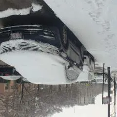 Shaz And Daz photo on Jungo Live