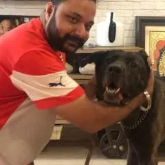 Rahul Oberoi photo on Jungo Live