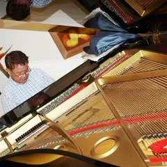 Ynot photo on Jungo Live