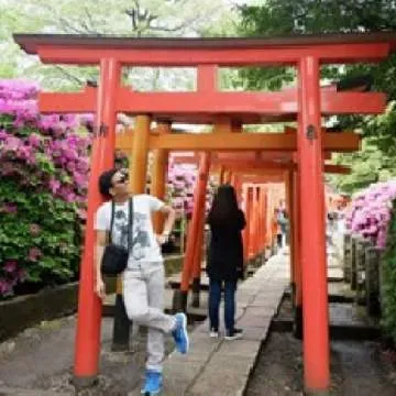 Marky Photo On Jungo Live