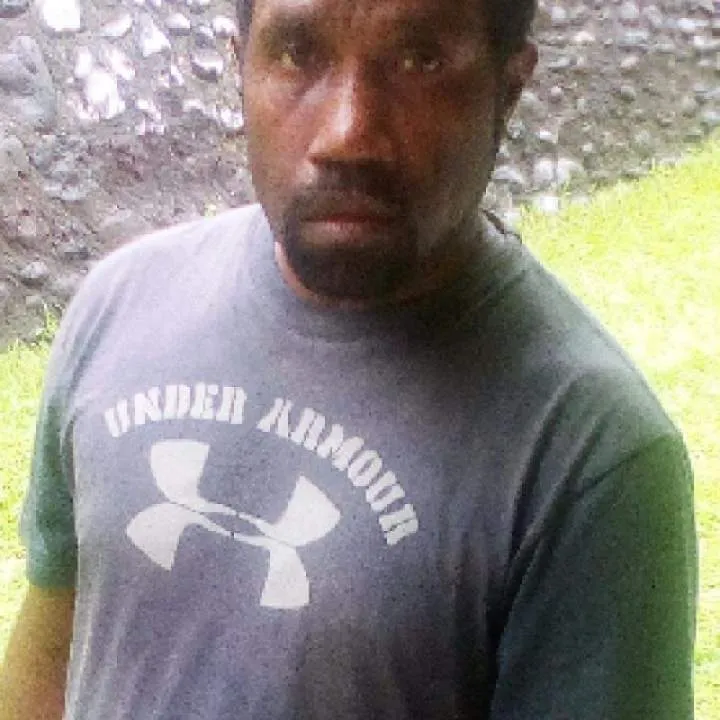 Voi Photo On Jungo Live