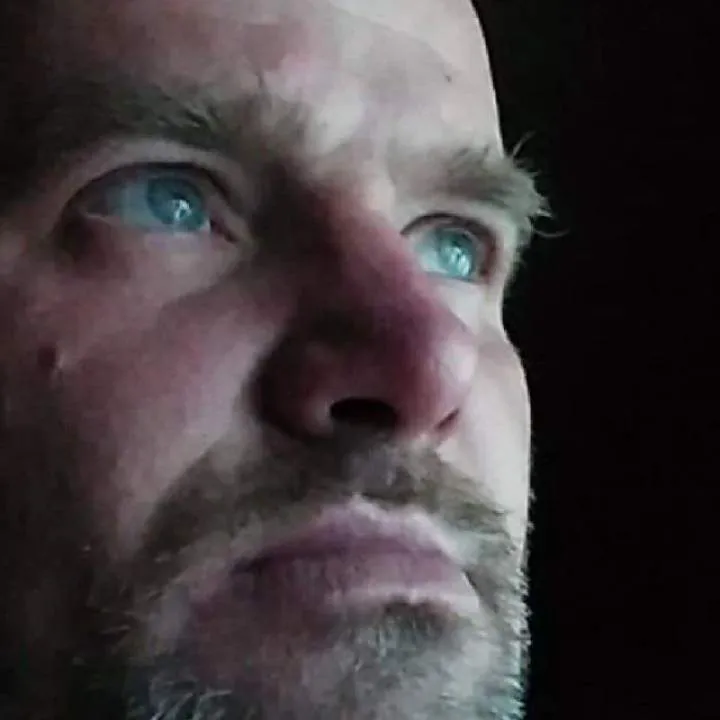 Adder Photo On Jungo Live