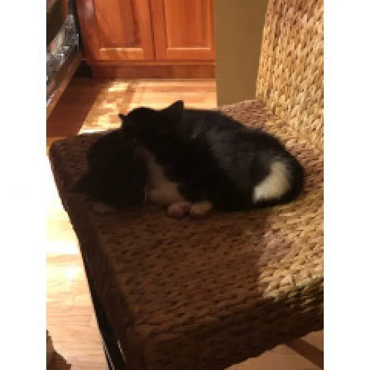 Stlcouple74 Photo On Jungo Live