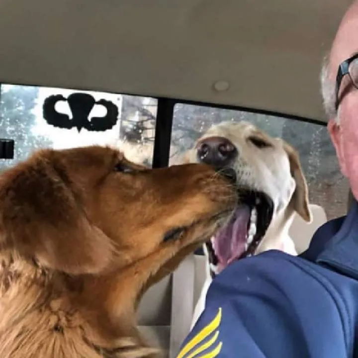 Jeff Photo On Jungo Live