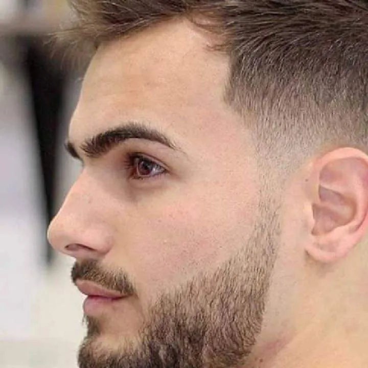 Tom Photo On Jungo Live