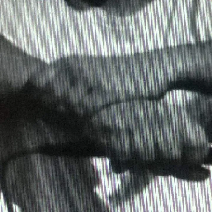 Fobri 35 Photo On Jungo Live