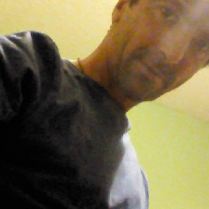 Gustavo41centro Photo On Jungo Live