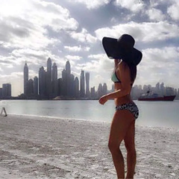 Lavender Photo On Jungo Live