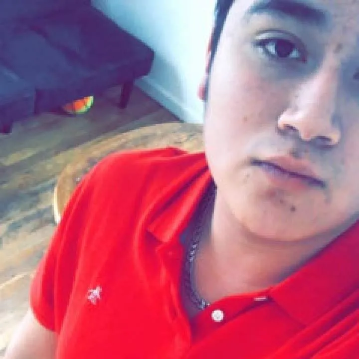 Sebastupapi Photo On Jungo Live