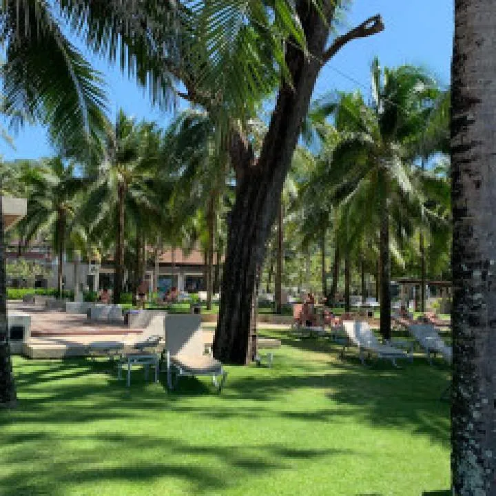 Meie Photo On Jungo Live