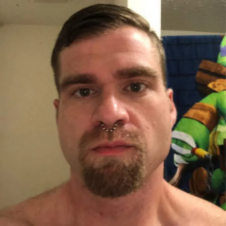 Bumblebee Photo On Jungo Live