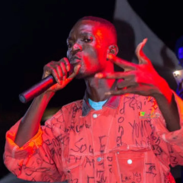 Flappy Fladem Photo On Jungo Live