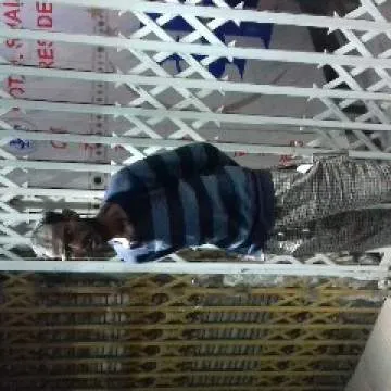 A Photo On Jungo Live