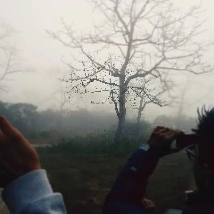 Boti Photo On Jungo Live