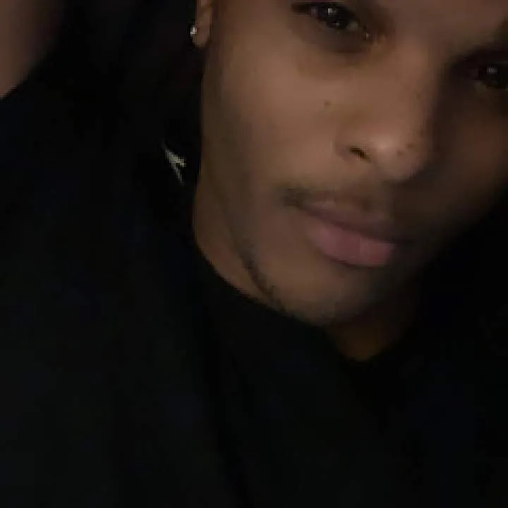 Ant Photo On Jungo Live