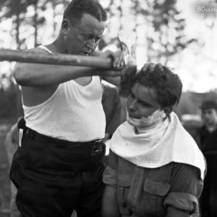 Zimbru Photo On Jungo Live