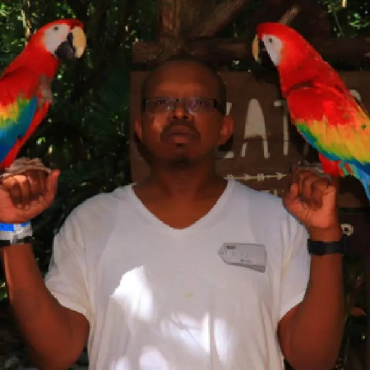 Mikeblk Photo On Jungo Live