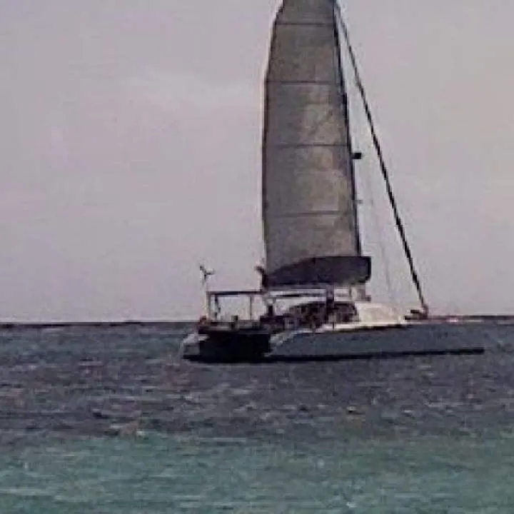 Dave Photo On Jungo Live