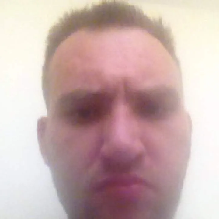 Wolf.... Photo On Jungo Live