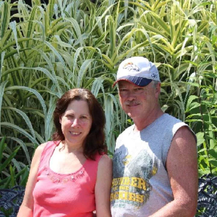 Harleyguyngal Photo On Jungo Live