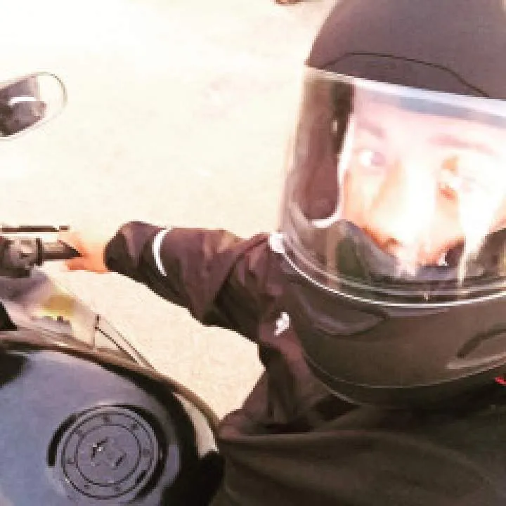 Bull........ Photo On Jungo Live