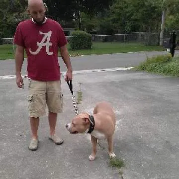 Dirk Photo On Jungo Live