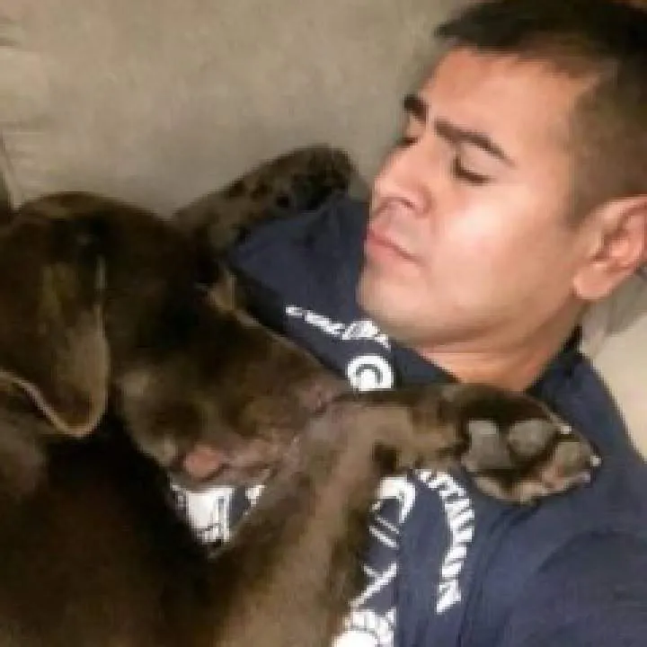 Nipping Photo On Jungo Live