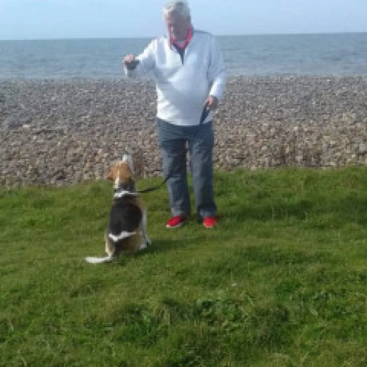 Harry H Photo On Jungo Live