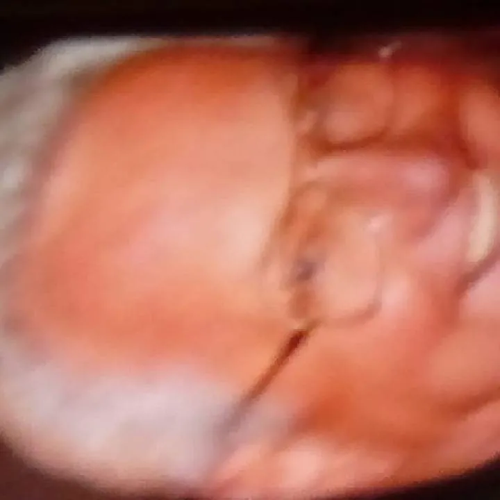 Hanks Photo On Jungo Live